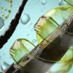 Haarwachstum und Hormone Wie Testosteron, Östrogen und DHT das Haar beeinflussen