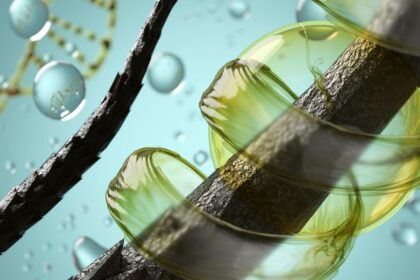 Haarwachstum und Hormone Wie Testosteron, Östrogen und DHT das Haar beeinflussen